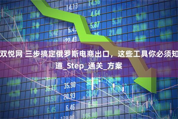 双悦网 三步搞定俄罗斯电商出口，这些工具你必须知道_Step_通关_方案