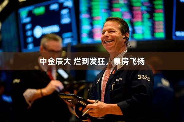中金辰大 烂到发狂，票房飞扬