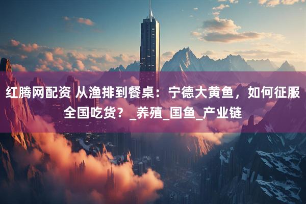 红腾网配资 从渔排到餐桌：宁德大黄鱼，如何征服全国吃货？_养殖_国鱼_产业链