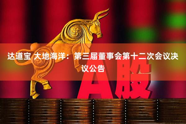 达道宝 大地海洋：第三届董事会第十二次会议决议公告
