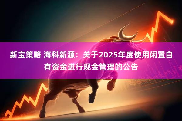 新宝策略 海科新源：关于2025年度使用闲置自有资金进行现金管理的公告