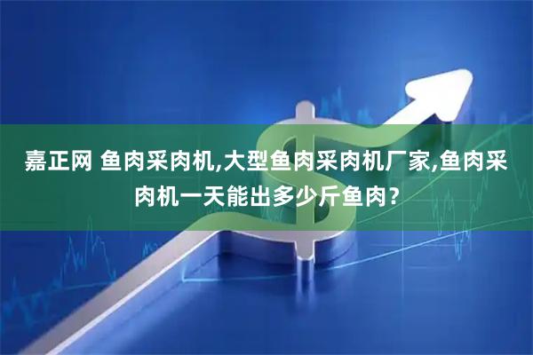 嘉正网 鱼肉采肉机,大型鱼肉采肉机厂家,鱼肉采肉机一天能出多少斤鱼肉？
