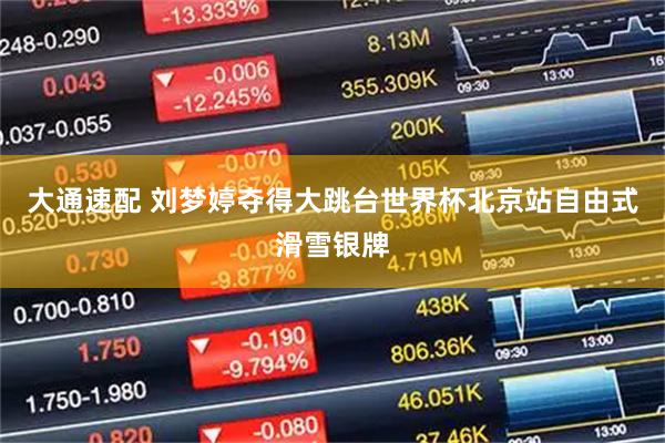 大通速配 刘梦婷夺得大跳台世界杯北京站自由式滑雪银牌