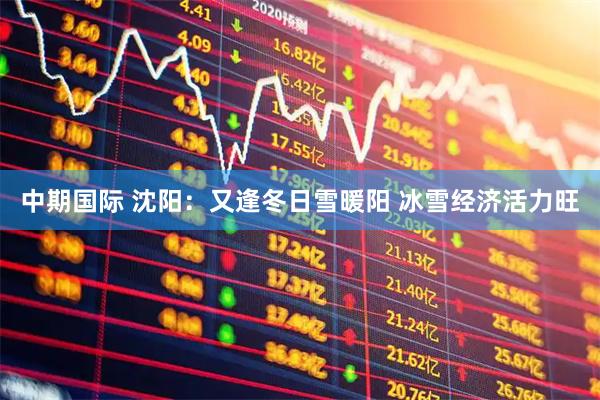 中期国际 沈阳:又逢冬日雪暖阳 冰雪经济活力旺