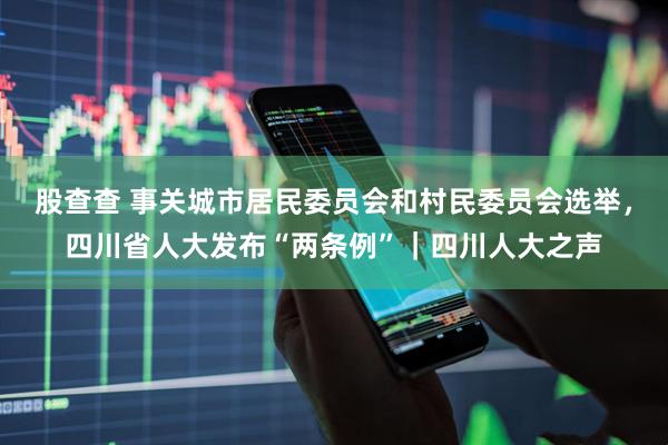 股查查 事关城市居民委员会和村民委员会选举，四川省人大发布“两条例”｜四川人大之声