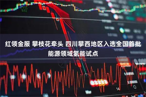 红领金服 攀枝花牵头 四川攀西地区入选全国首批能源领域氢能试点