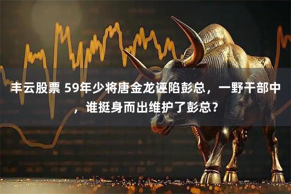 丰云股票 59年少将唐金龙诬陷彭总，一野干部中，谁挺身而出维护了彭总？
